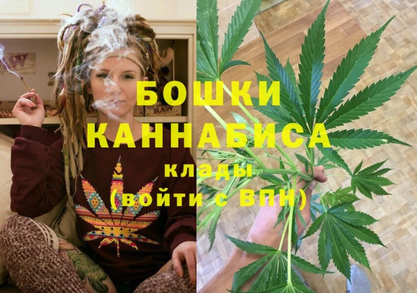соль ск Бородино