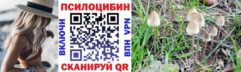 Купить закладки  Остров  Псилоцибиновые грибы MAGIC MUSHROOMS 